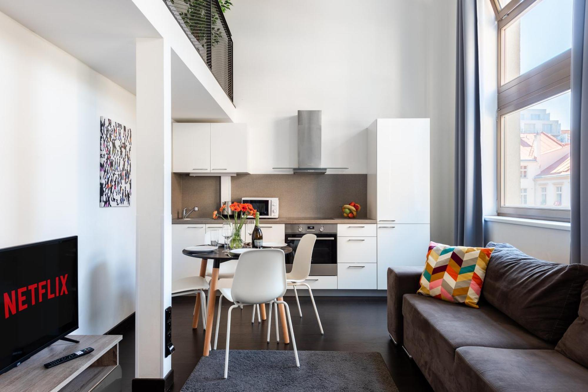 Apartment Loft Spacious In Prag