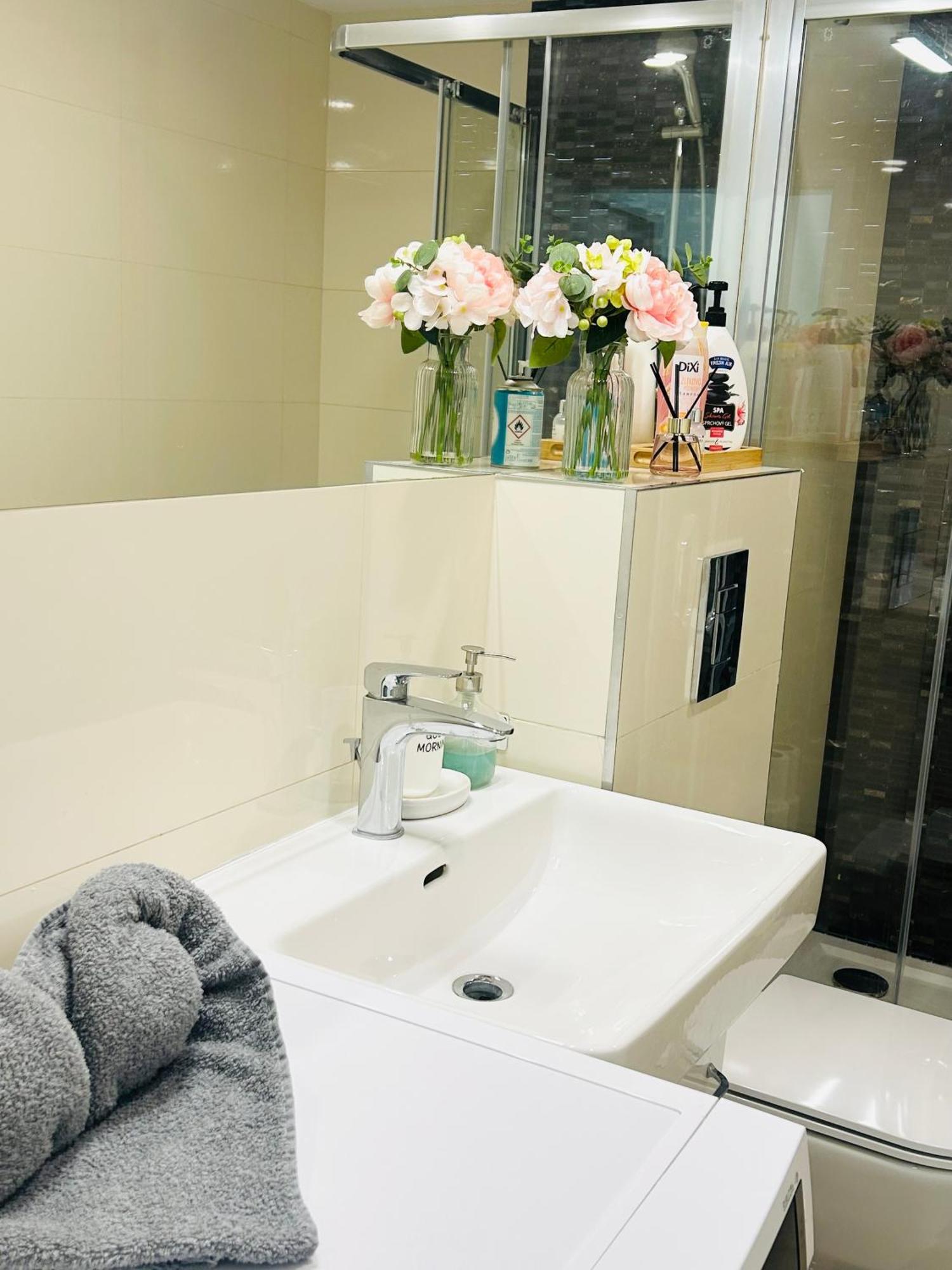 Apartment New Design & Style 50m From Wenceslas Square Prag