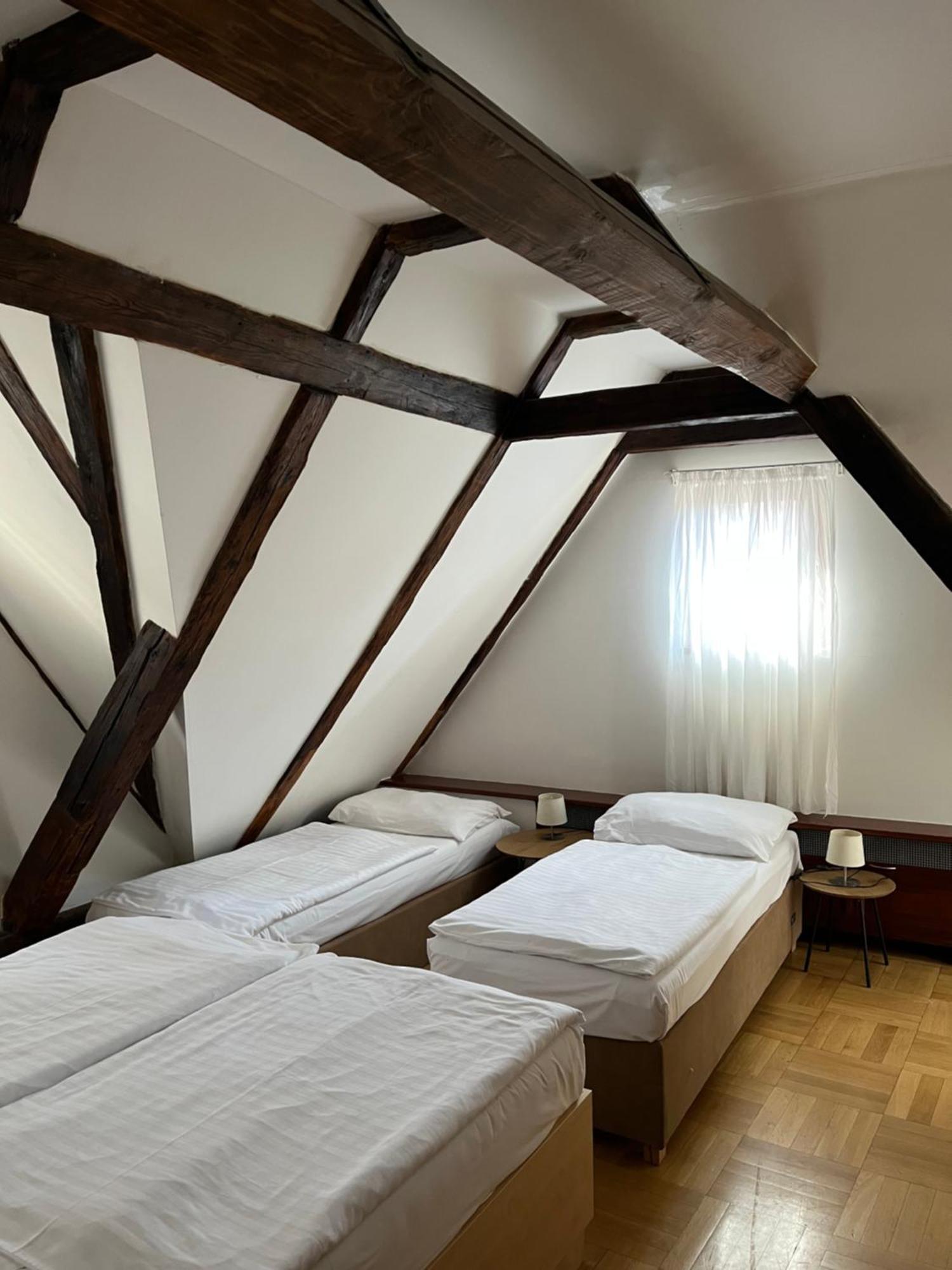 U Vejvodu Apartment *