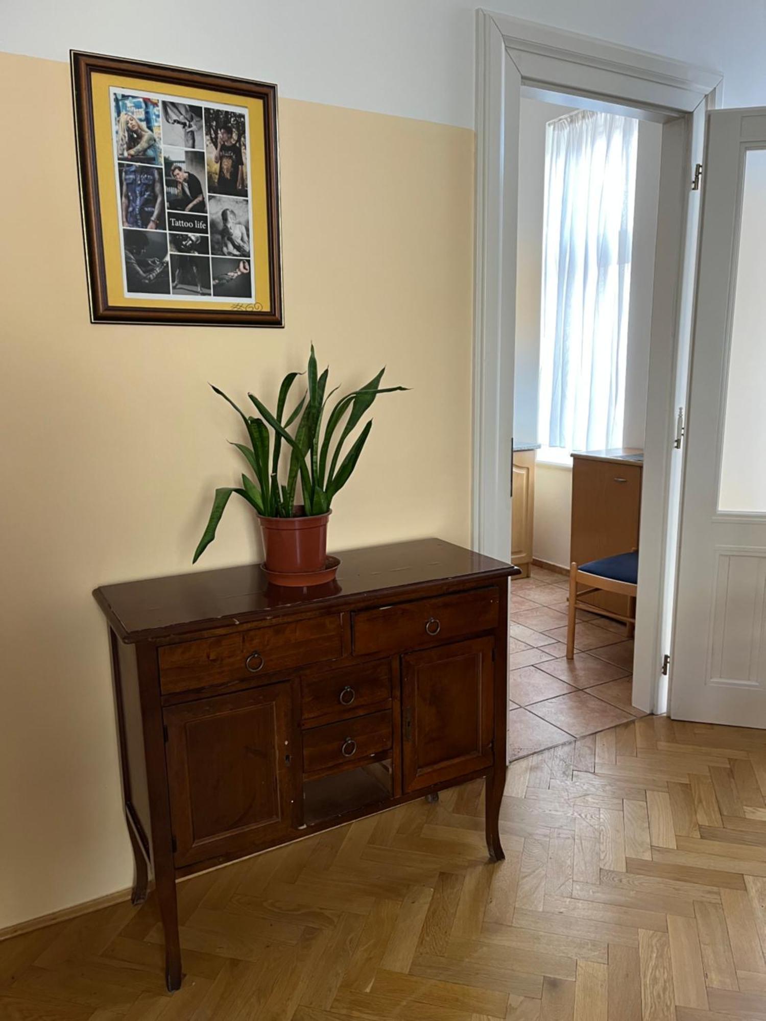 U Vejvodu Apartment