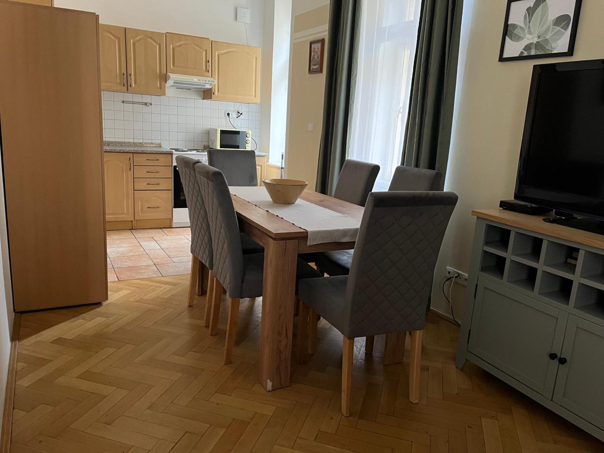 U Vejvodu Apartment *