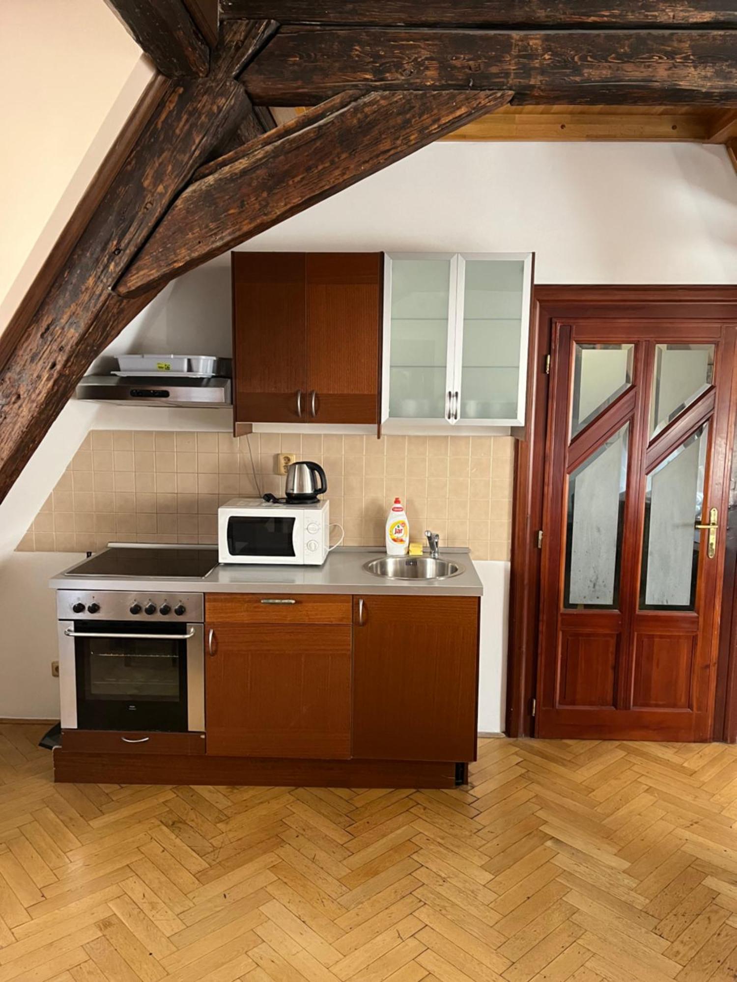 U Vejvodu Apartment