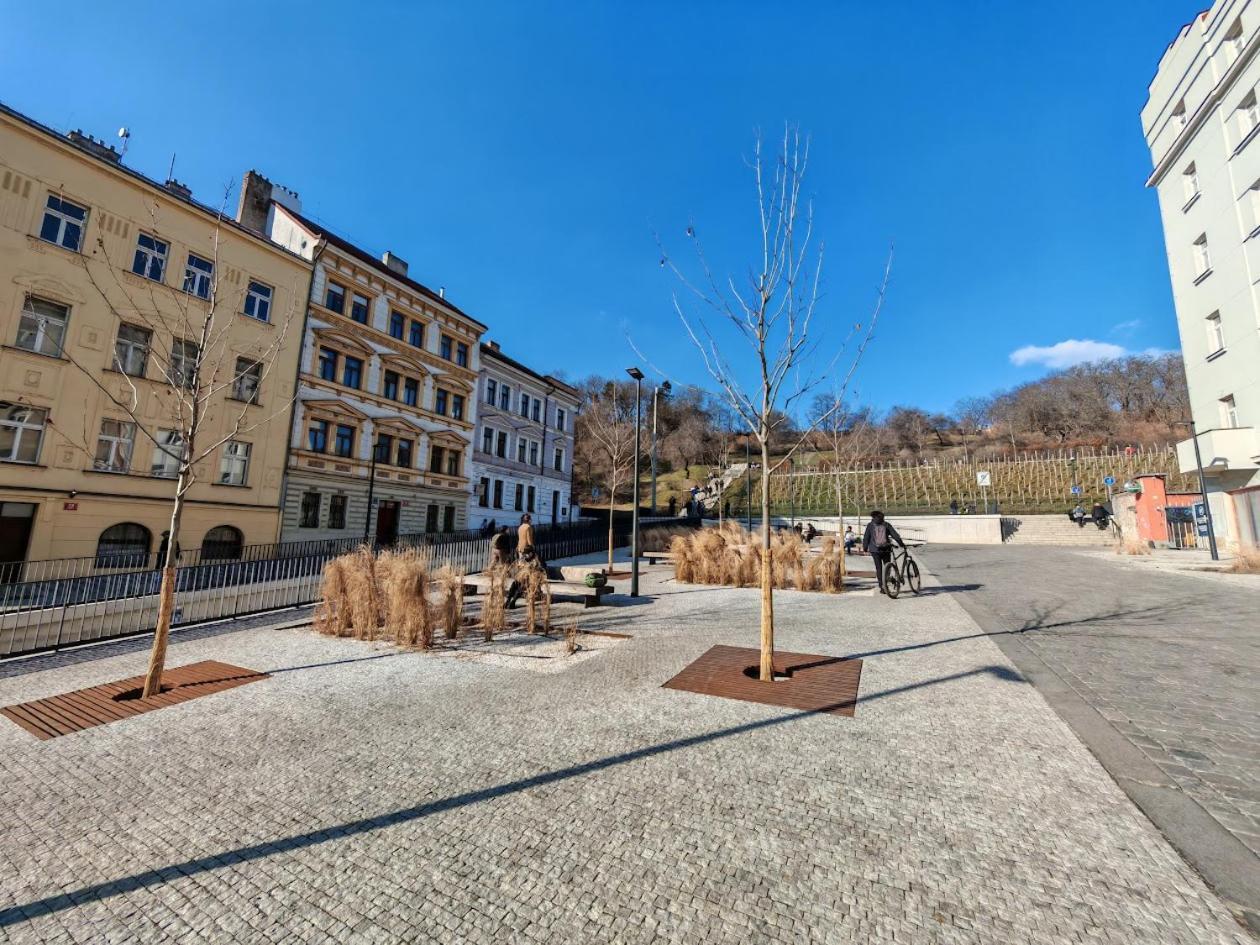 Flat In Zizkov -103- Prag