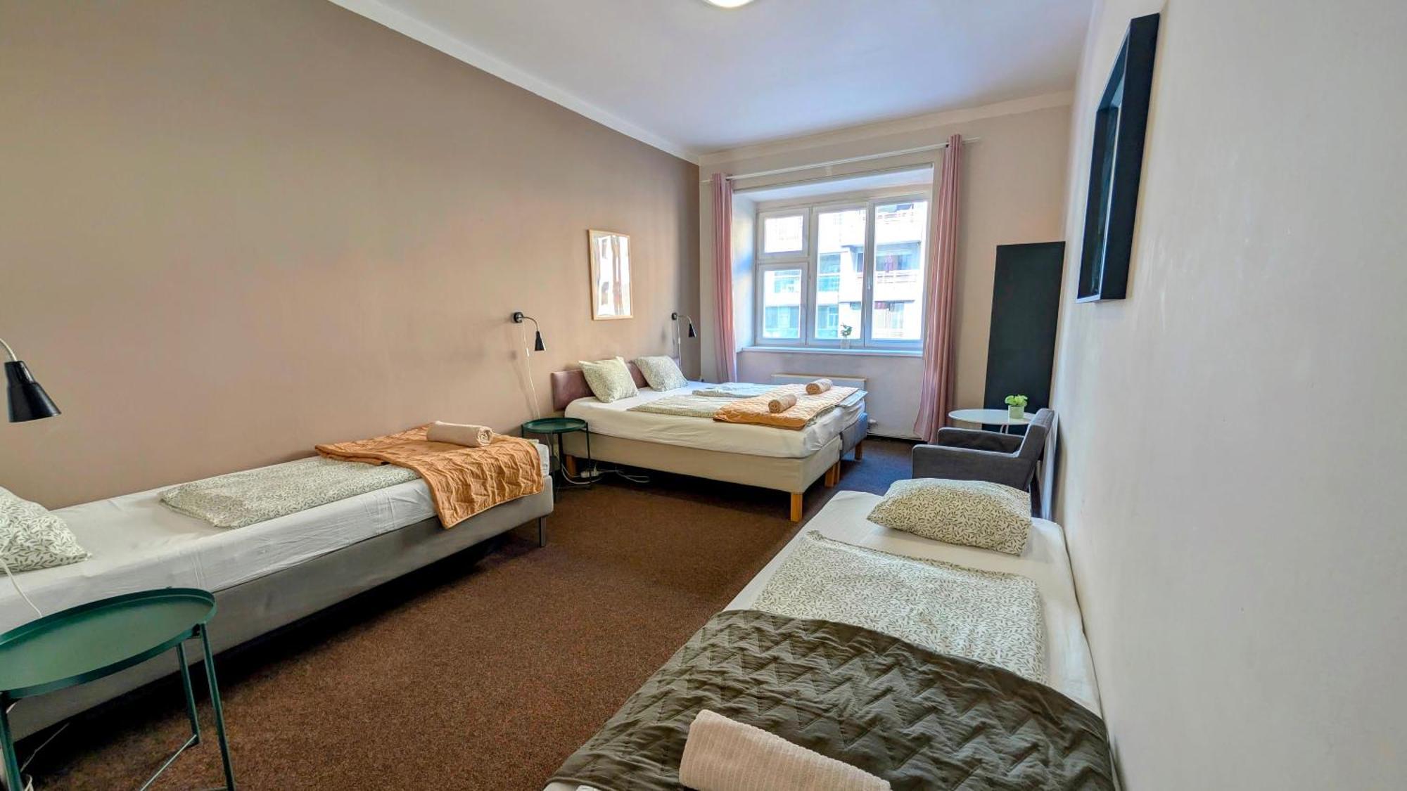 Lägenhet Flat In Zizkov -103-