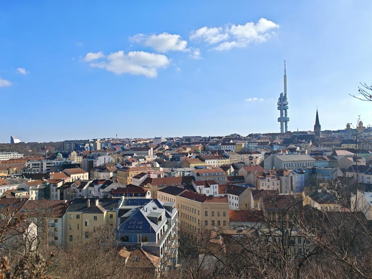 Flat In Zizkov -103- Prag