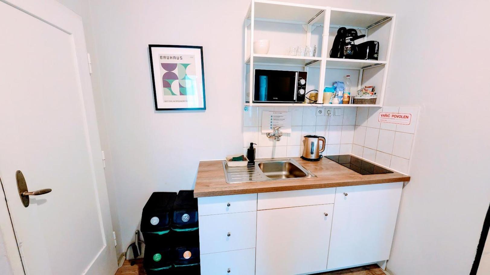 Flat In Zizkov -401- Prague