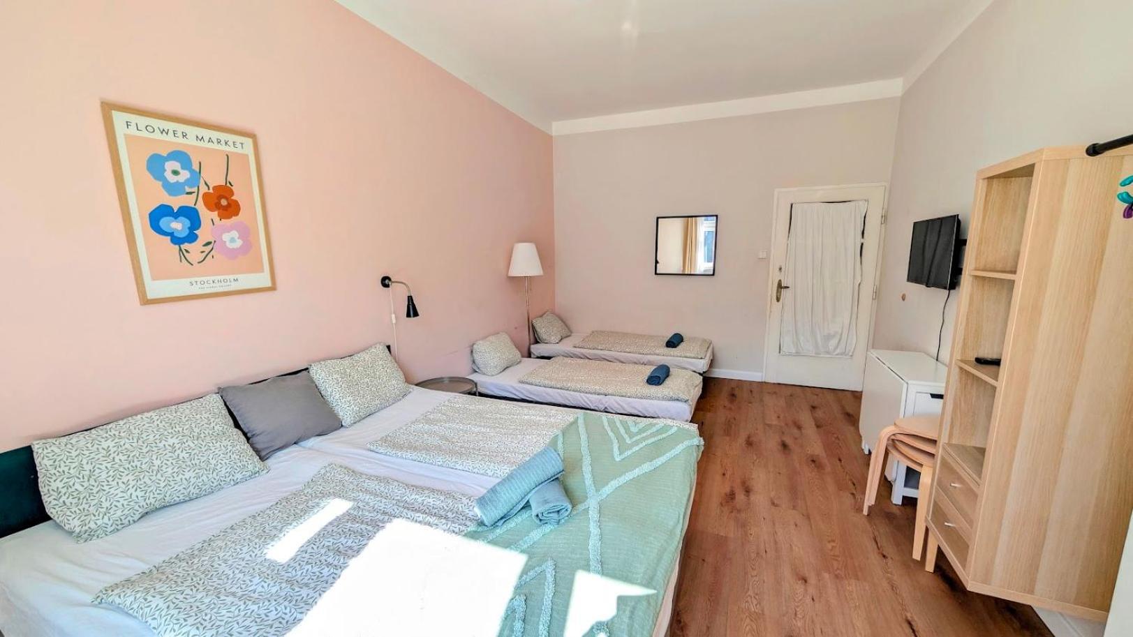 Flat In Zizkov -401- Prag