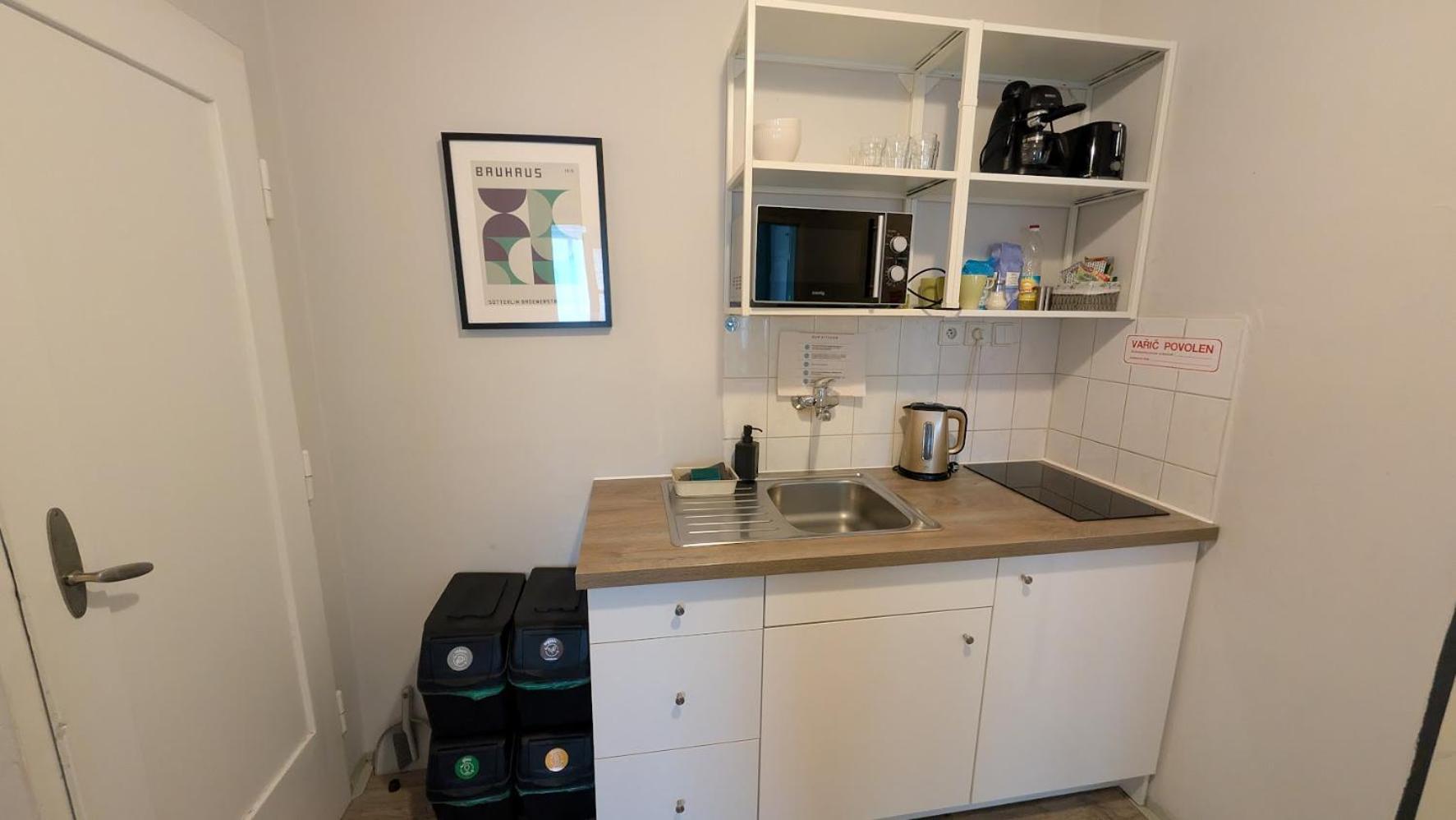 Flat In Zizkov -302- Prag