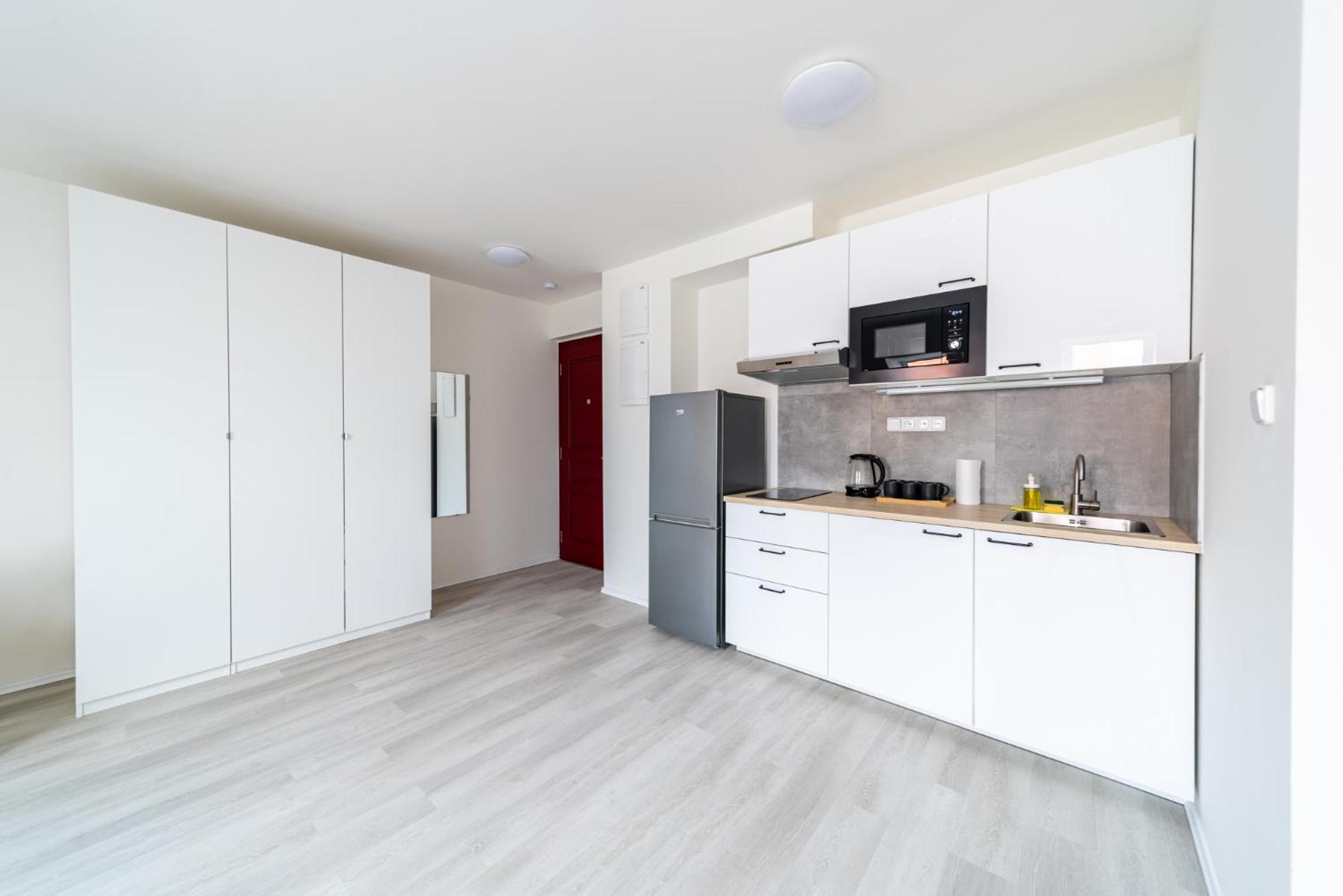 Apartment Borivojova 63 *