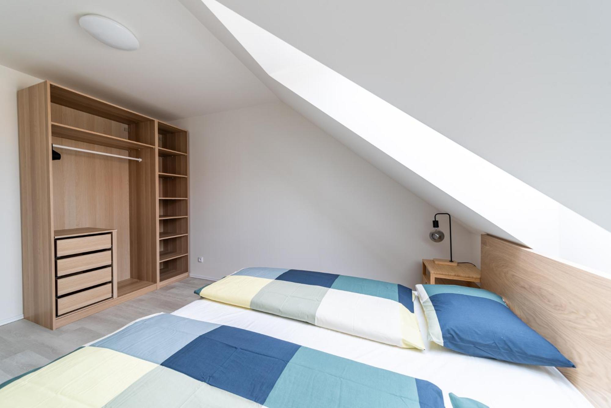 Apartment Borivojova 63