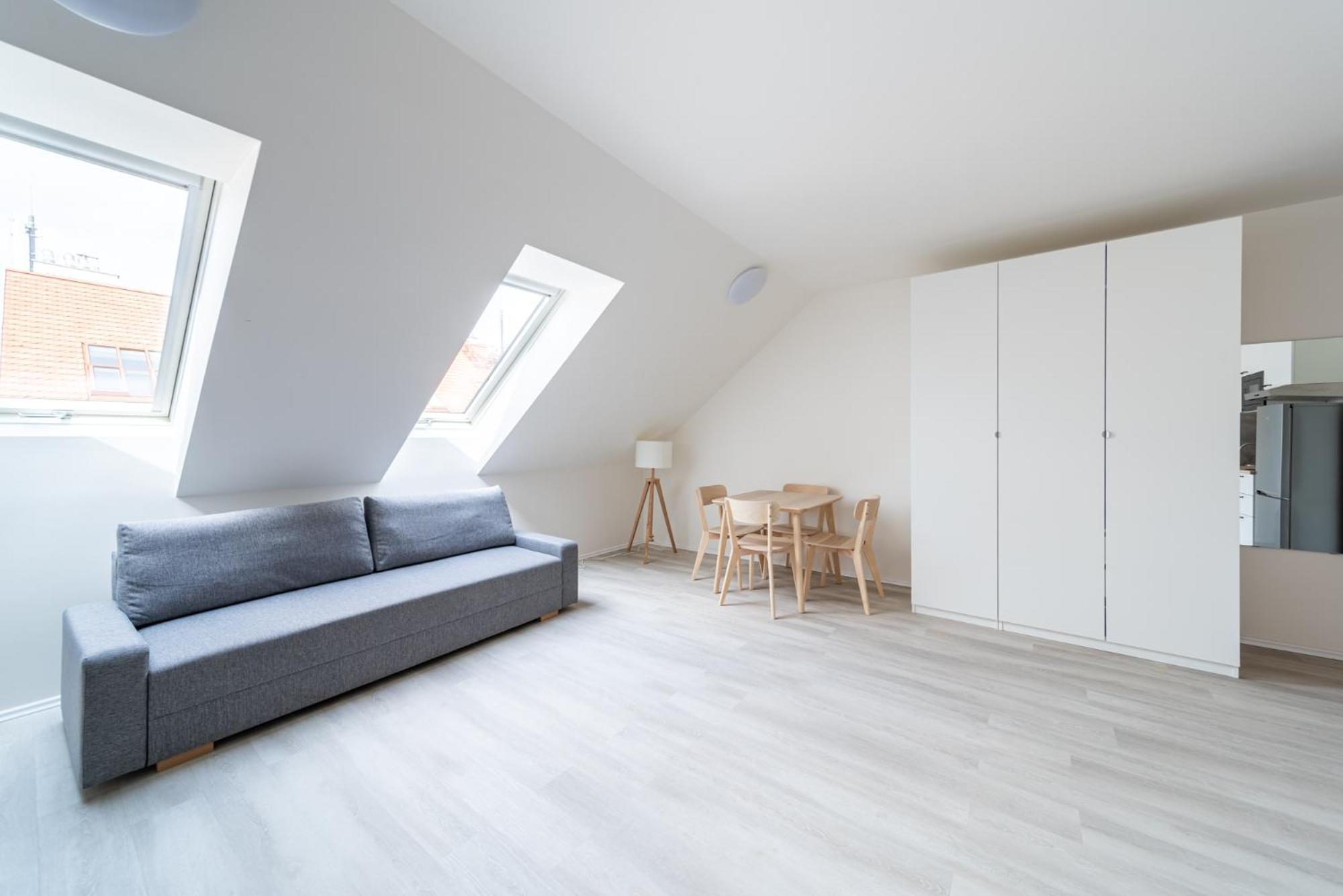 Apartment Borivojova 63 Prague
