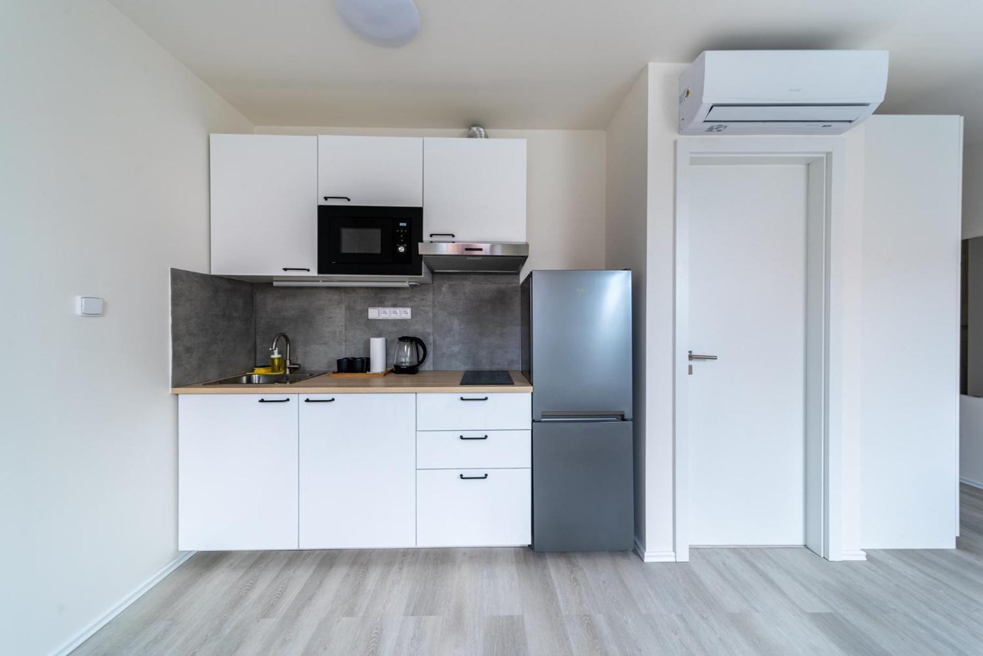 Apartment Borivojova 63