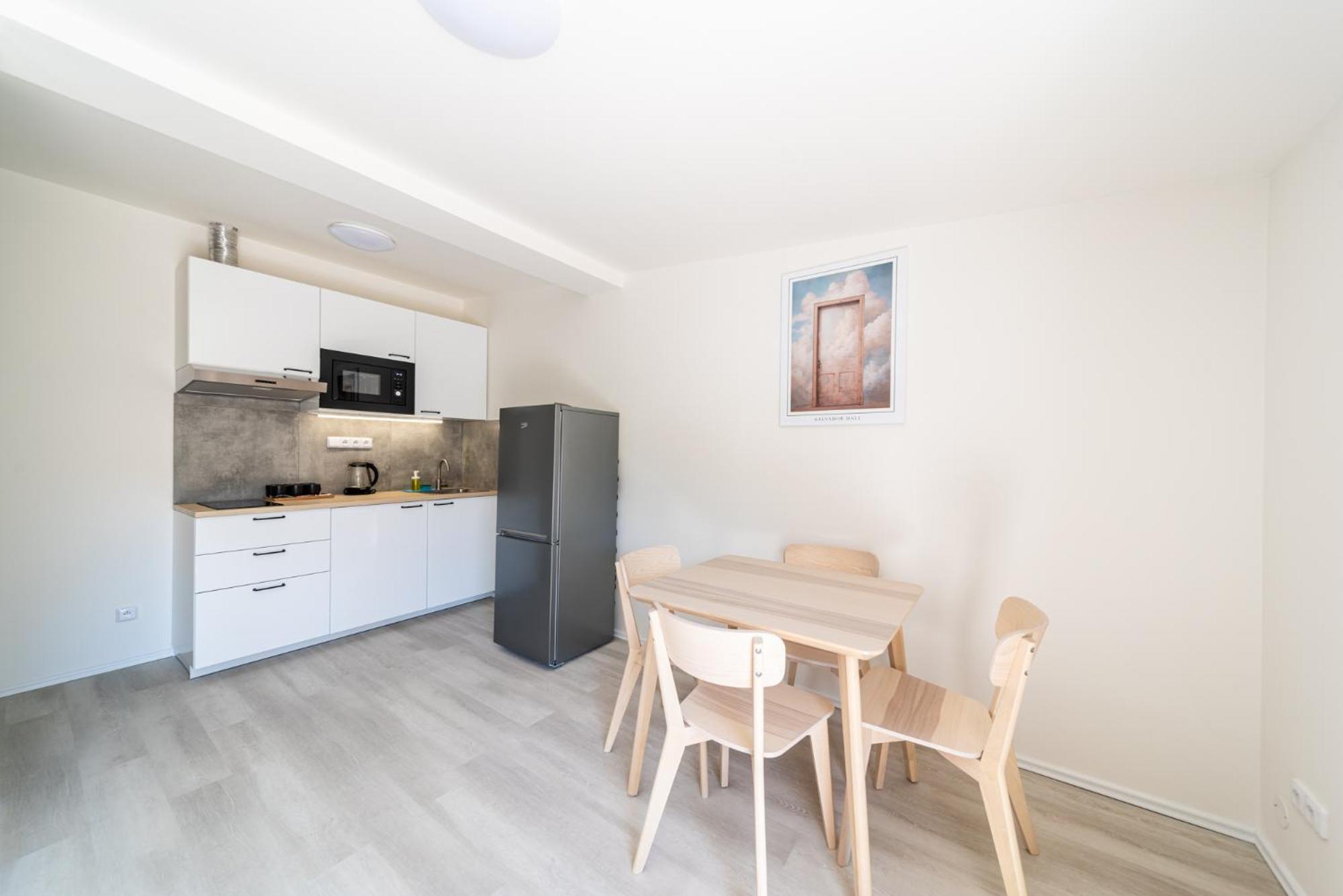 Apartment Borivojova 63