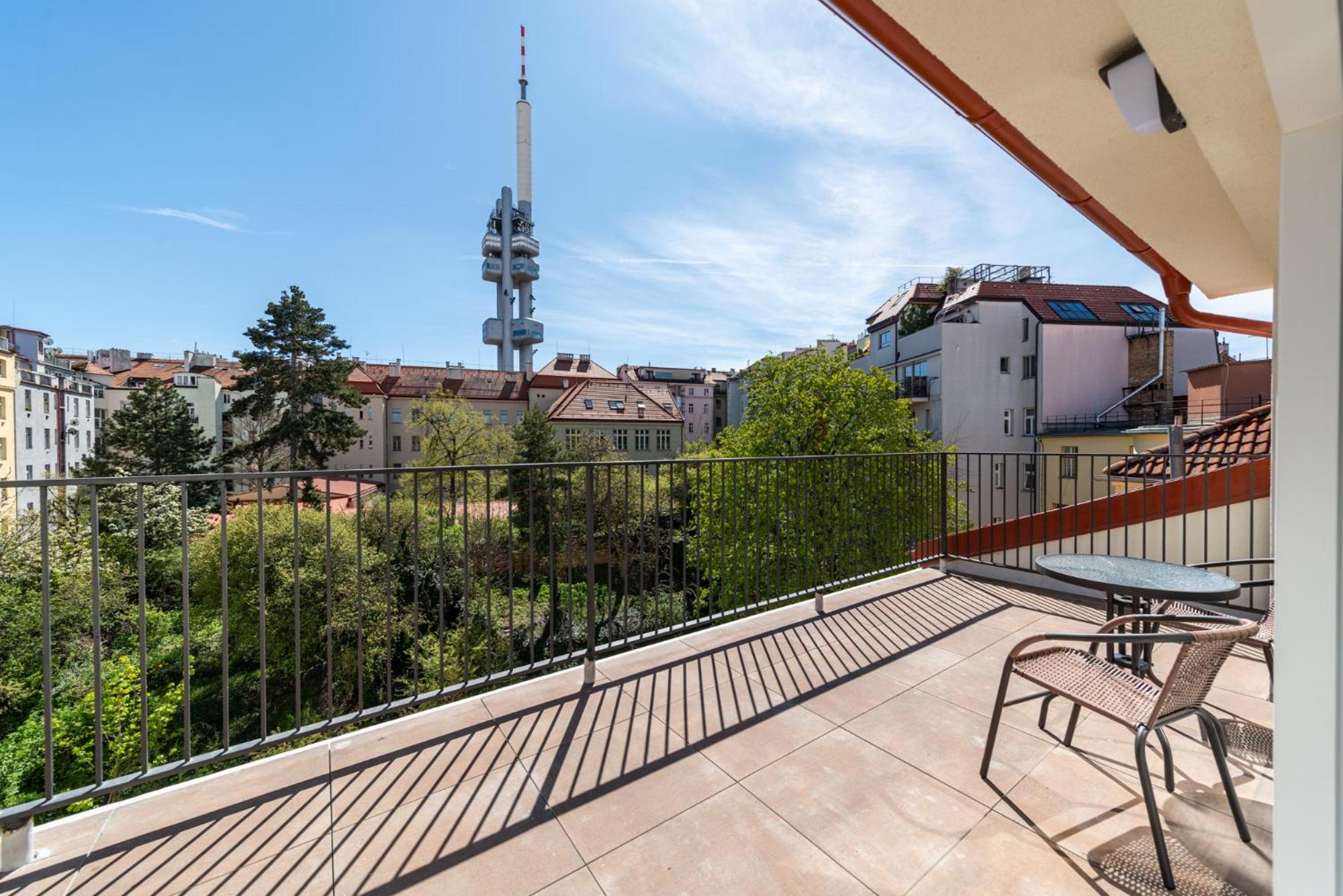 Apartment Borivojova 63