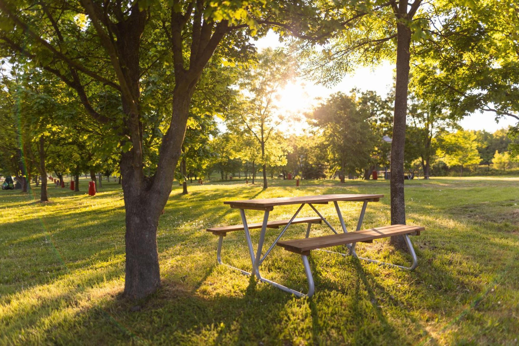 Campingplatz Dzban