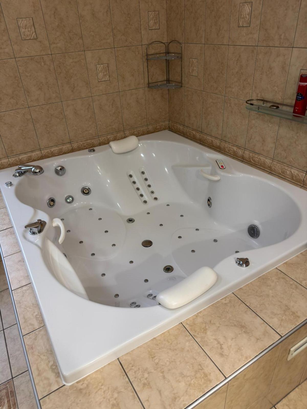 - Wellness, Pool, Jacuzzi, Sauna, Garden, Terraces Villa Prague