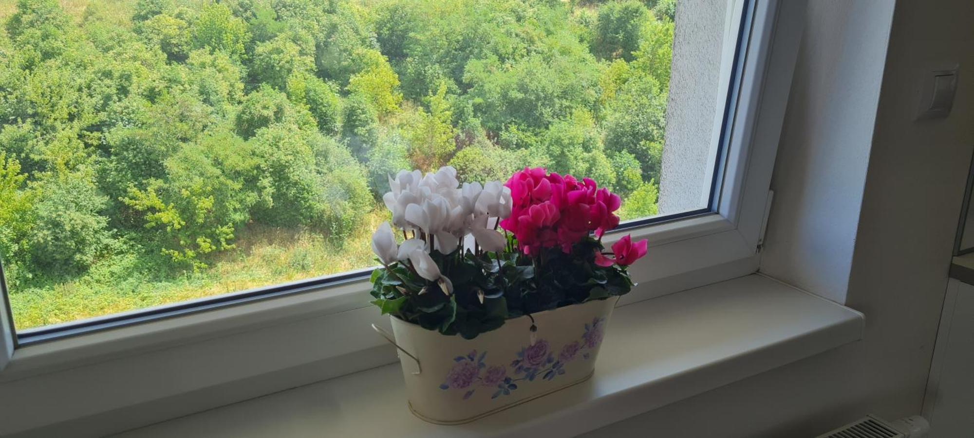 Apartmán Prostorný 3 Pokojový S Dvěma Terasami *