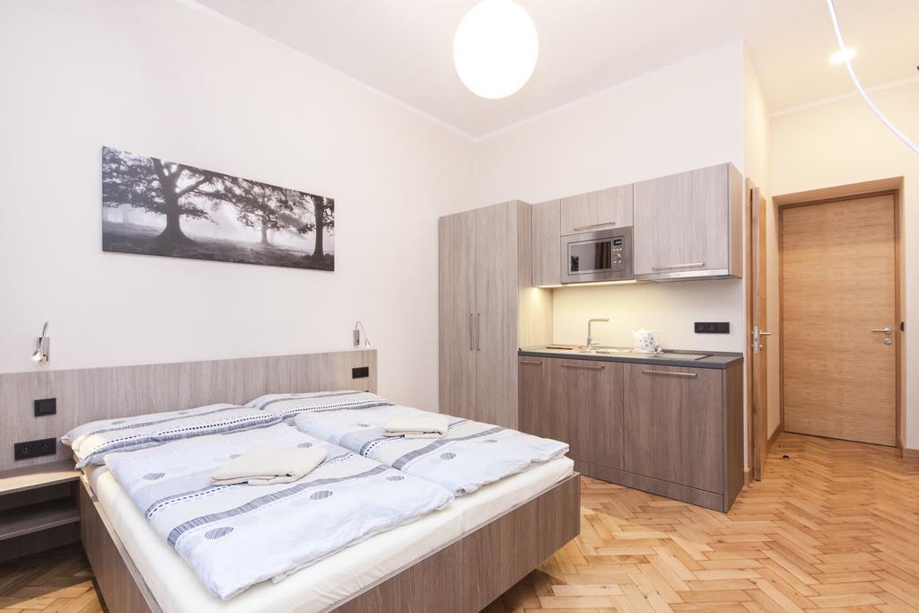Apartment Manesova Astra Prague