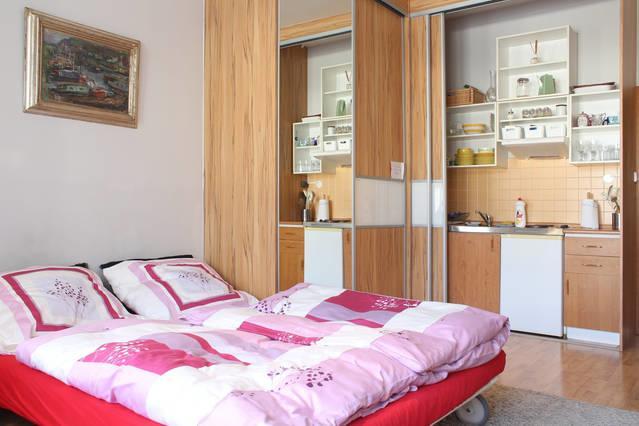 City Loft And Studio Apartment