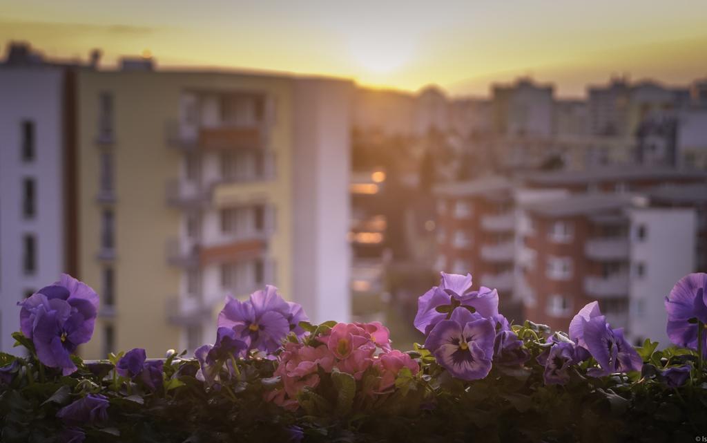 A Nice Place To Stay Apartments
