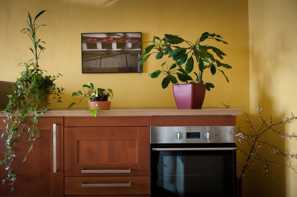 Apartment Masaryk Prag