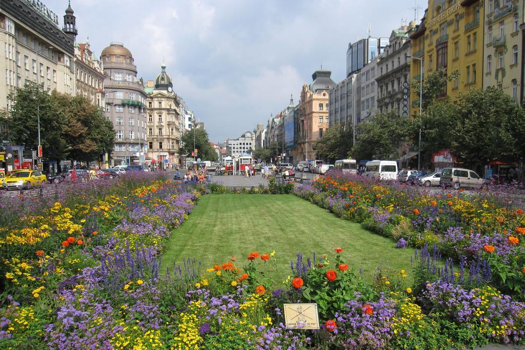 Apartment Royal Celakovskeho Sady