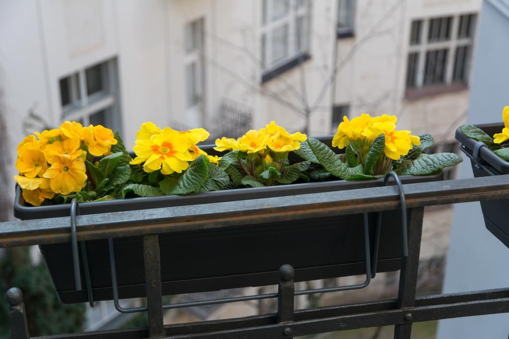 Apartment Decadent Art Deco Balcony Apartment In Old Town Prag