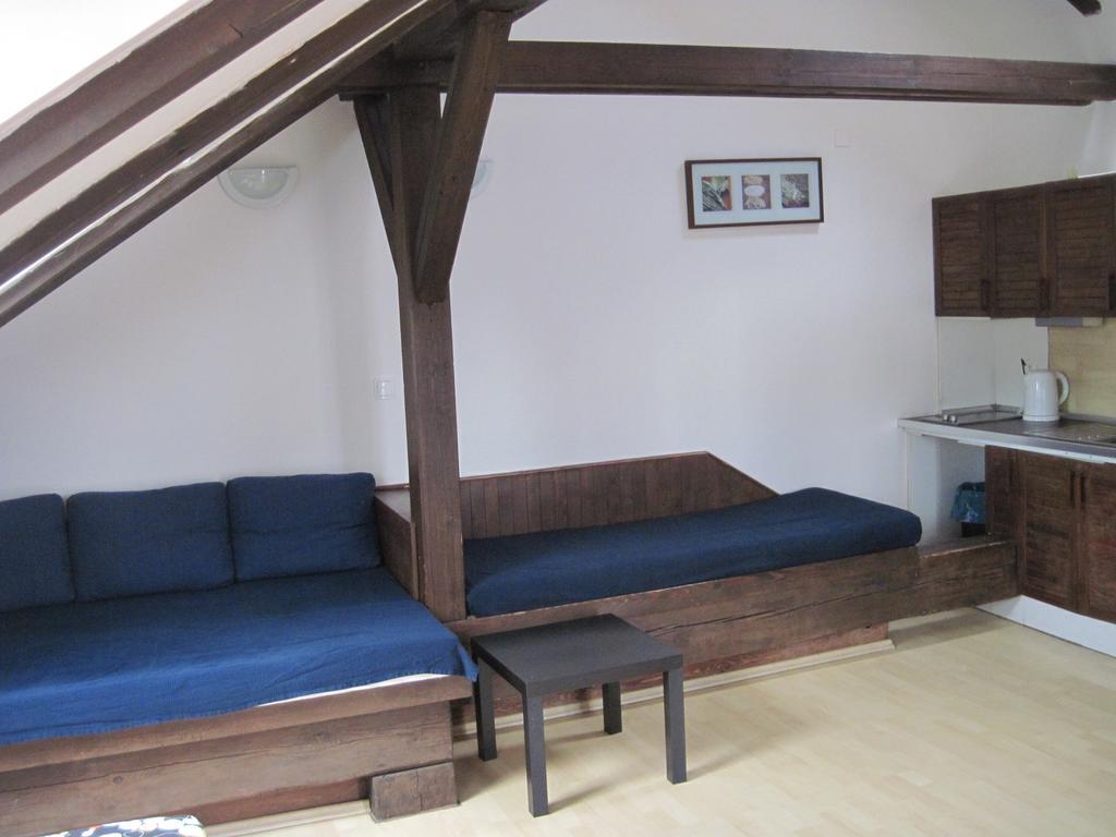 Apartment Zelezna *