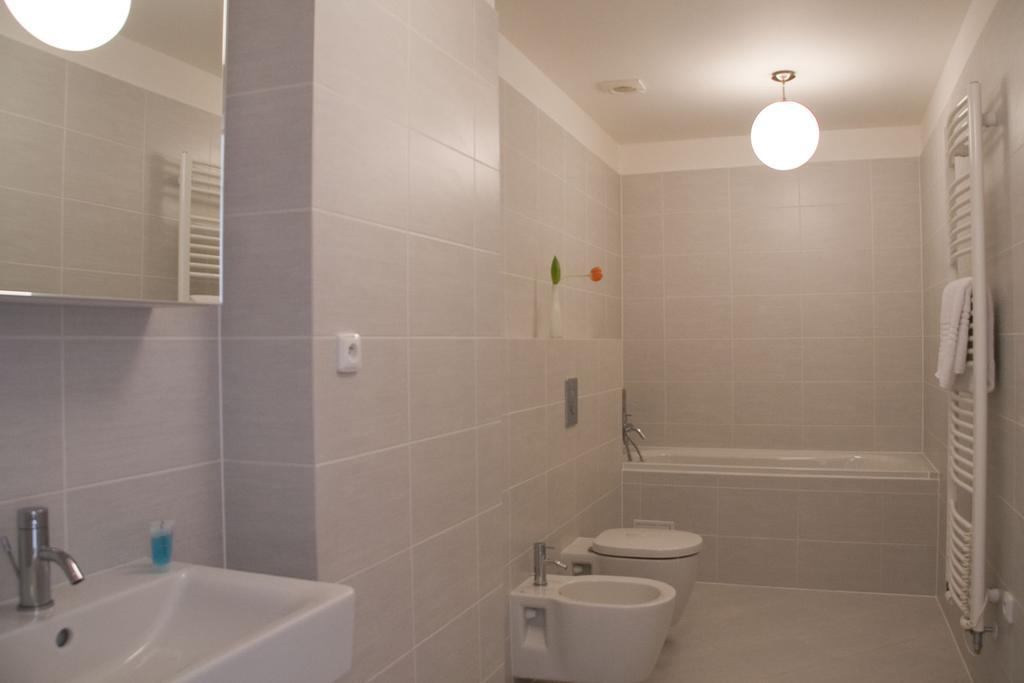 Apartment Drtinova Prag