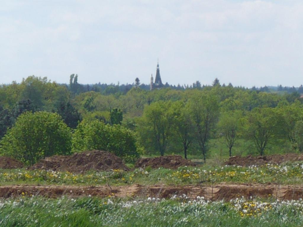 Rivendell Prag
