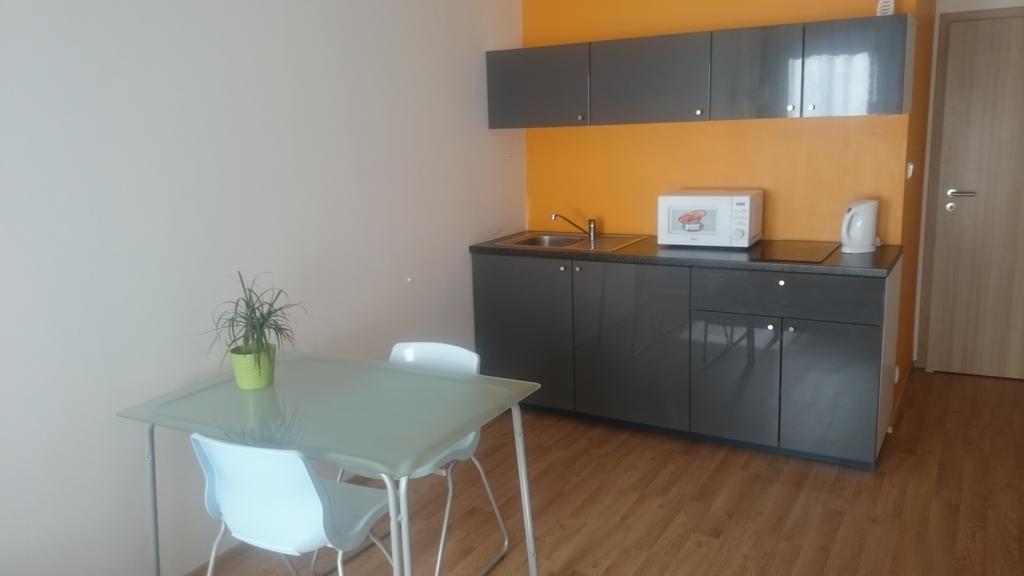 Apartment Zaksinska