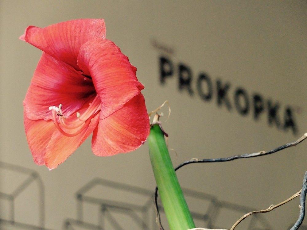 Prokopka 2* Prag