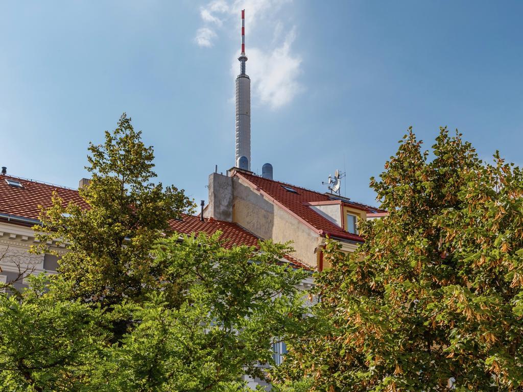 Vinohrad
