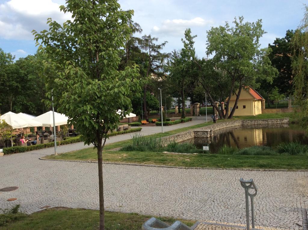 Lev I Sova Prag