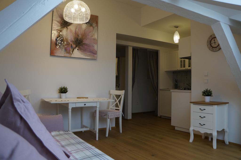 Apartment Vinohradska