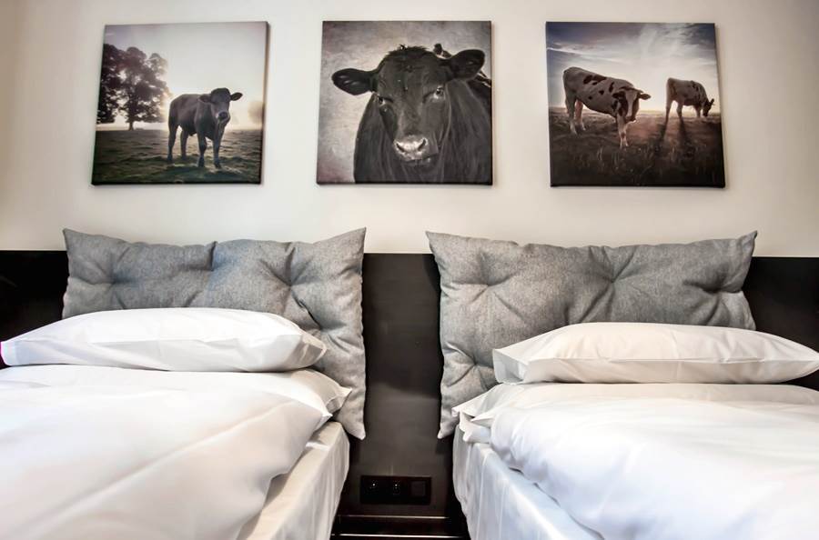 Mooo Downtown Aparthotel