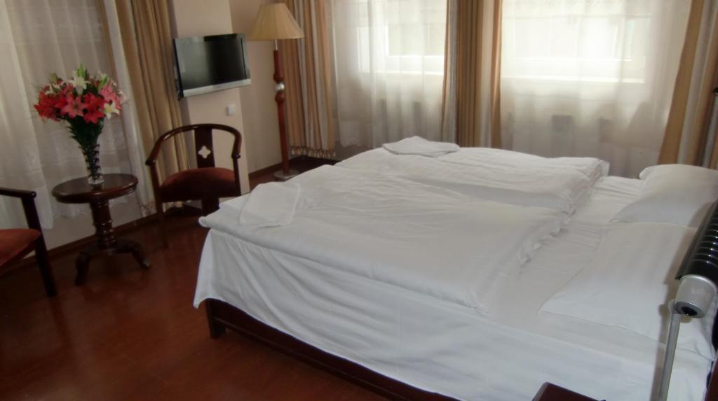Hotel Hotel Penzion Praga Prag