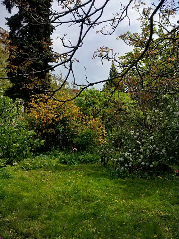 The Garden In The City Praha