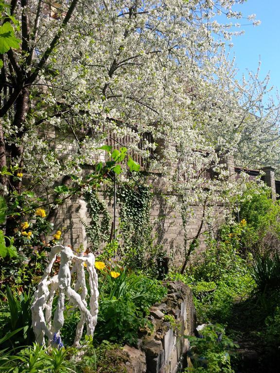 The Garden In The City *