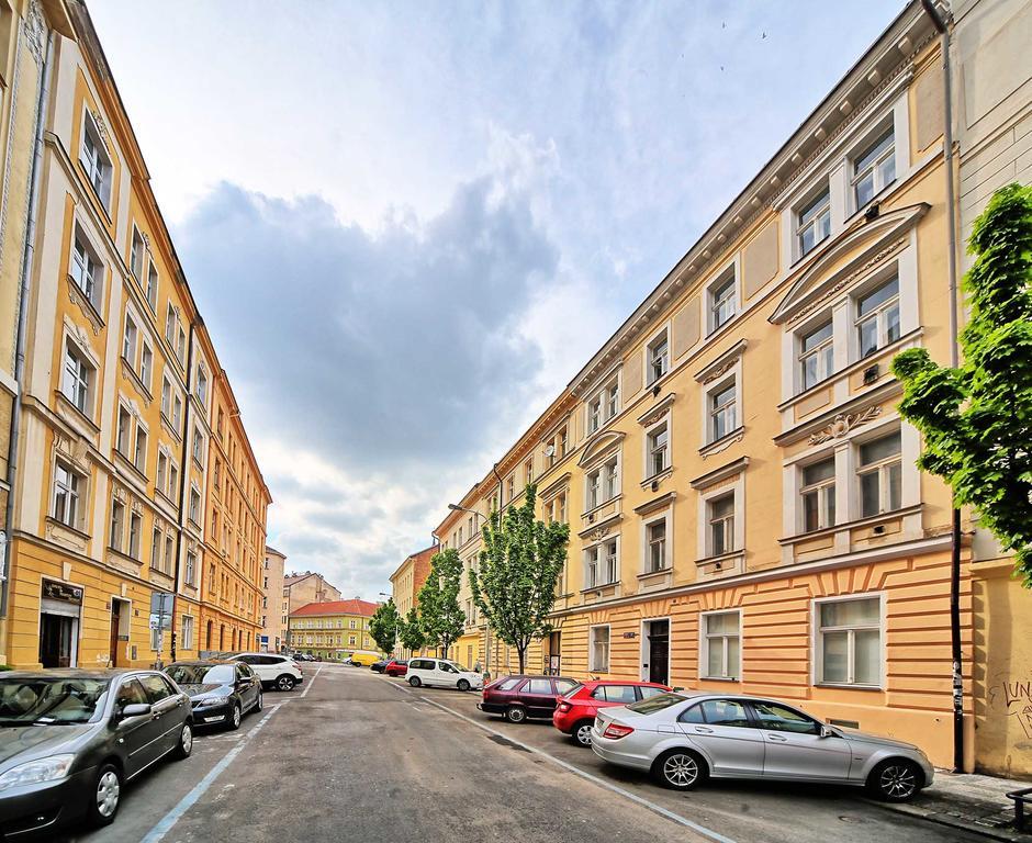 Apartment Borivojova 50