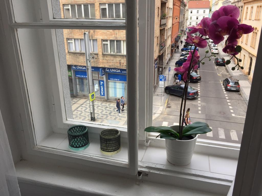 Lily's - 5 Minutes To Charles Bridge