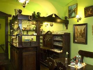 Apartment U Zlate Podkovy