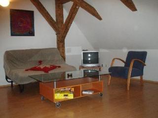 Apartment U Zlate Podkovy