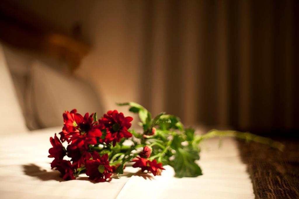 Dahlia Hotell 3*