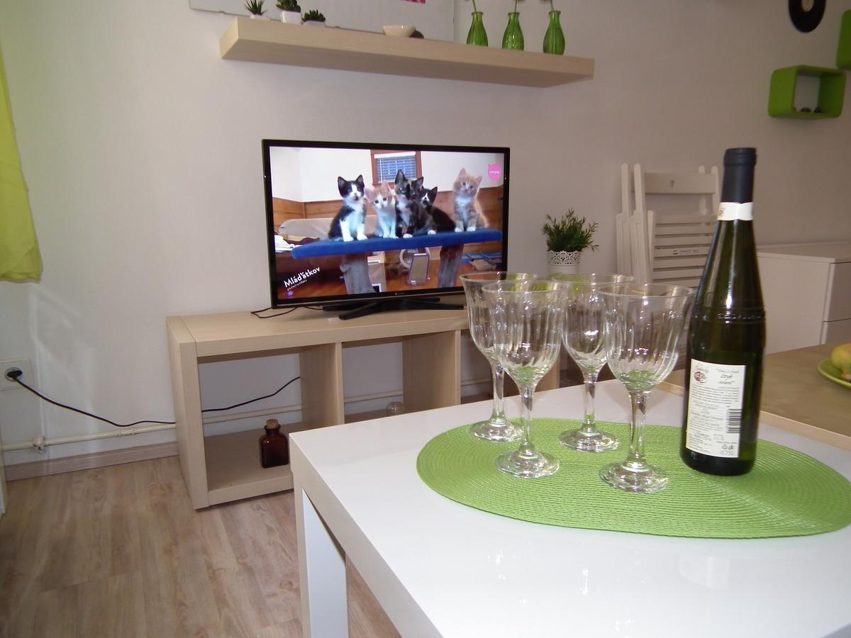 Apartment In The Centre Prag