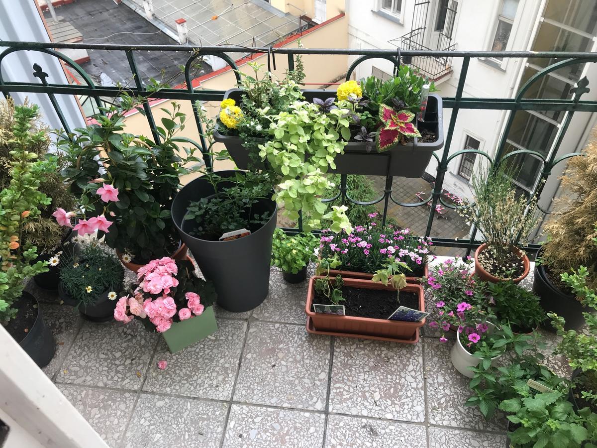 Charming Apt W Balcony Old Town Prag