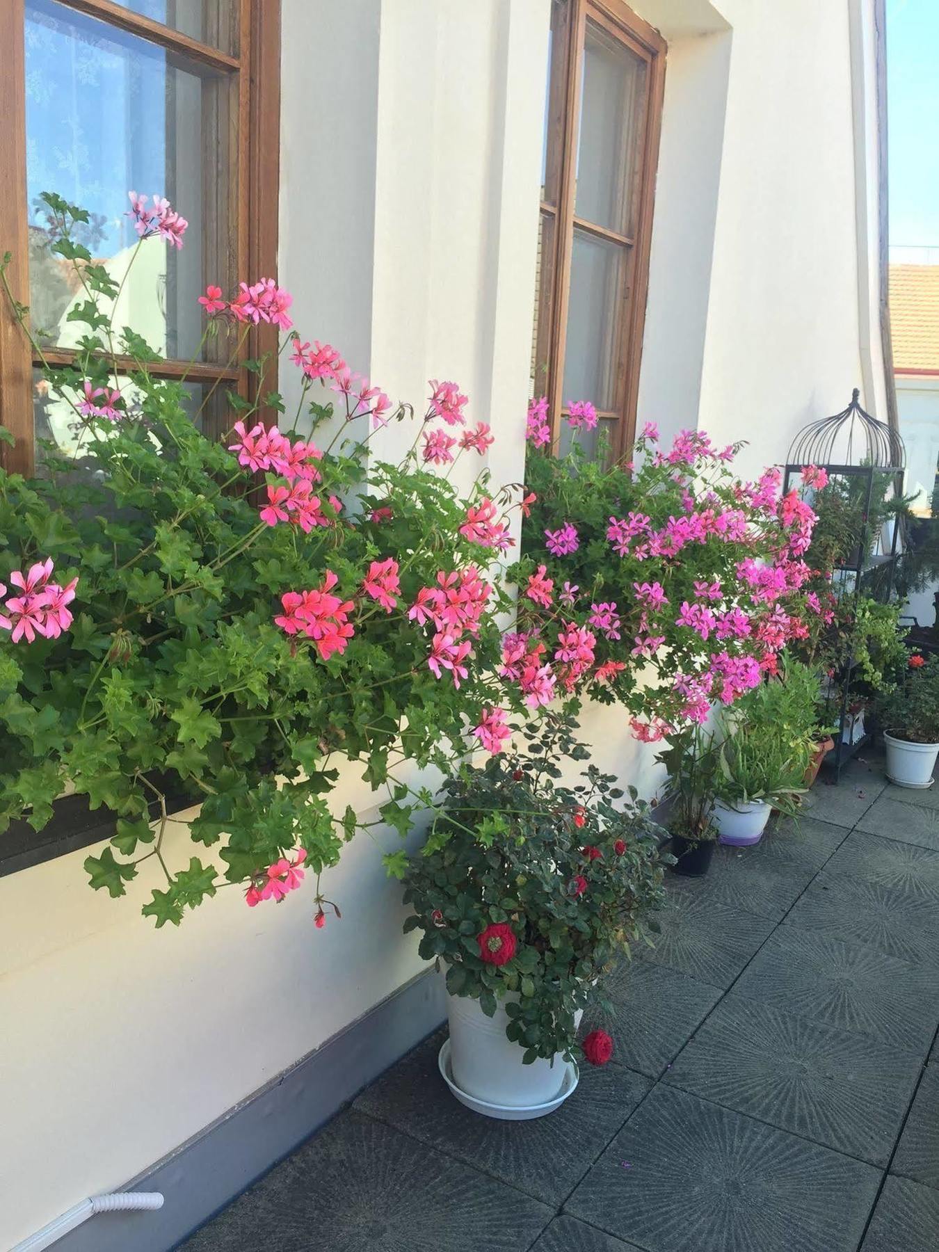 Apartmán Old Town Boutique