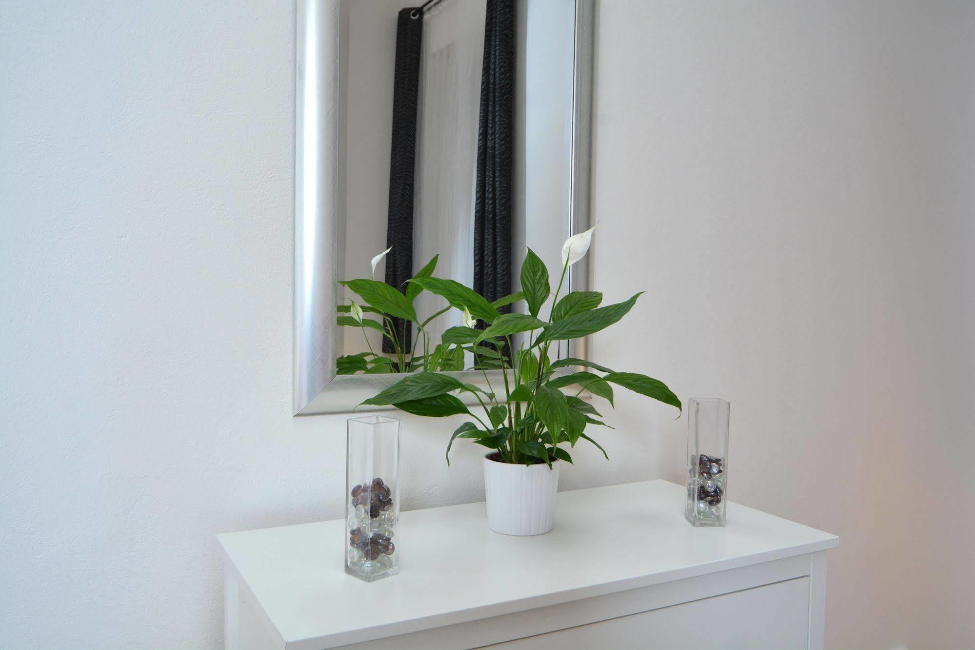 Apartment Amadeus Prag
