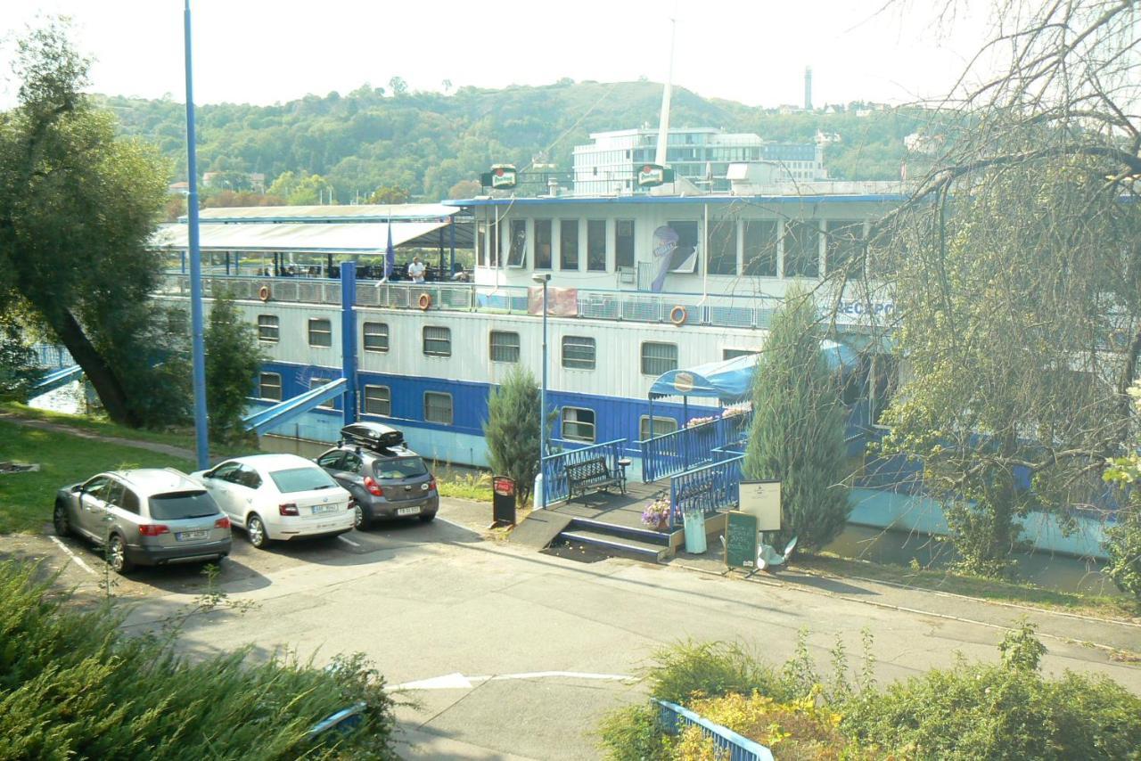 Racek Botel