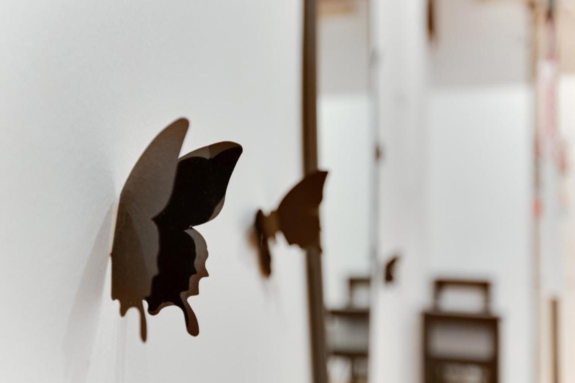 Apartment Na Folimance